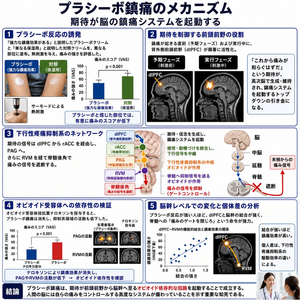 長谷川淳史 tweet media