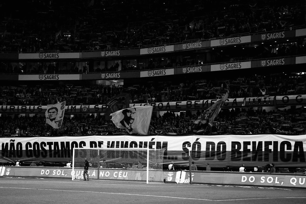 Benfiquista em Depressão🔴⚪🦅 tweet media