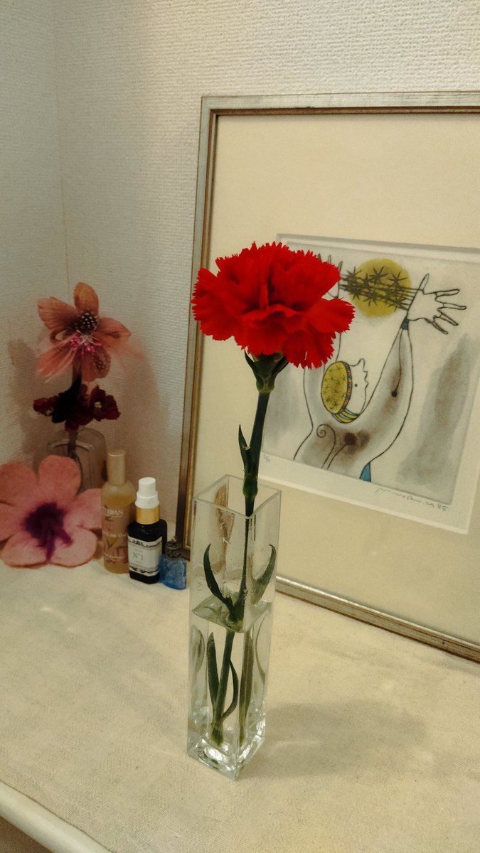g_solidago's tweet photo. 2日前、まいばすけっとで買い物したらカーネーション頂いた

本日満開🌸

たまには切り花を飾るのもいいね https://t.co/k7rsHmOr3a