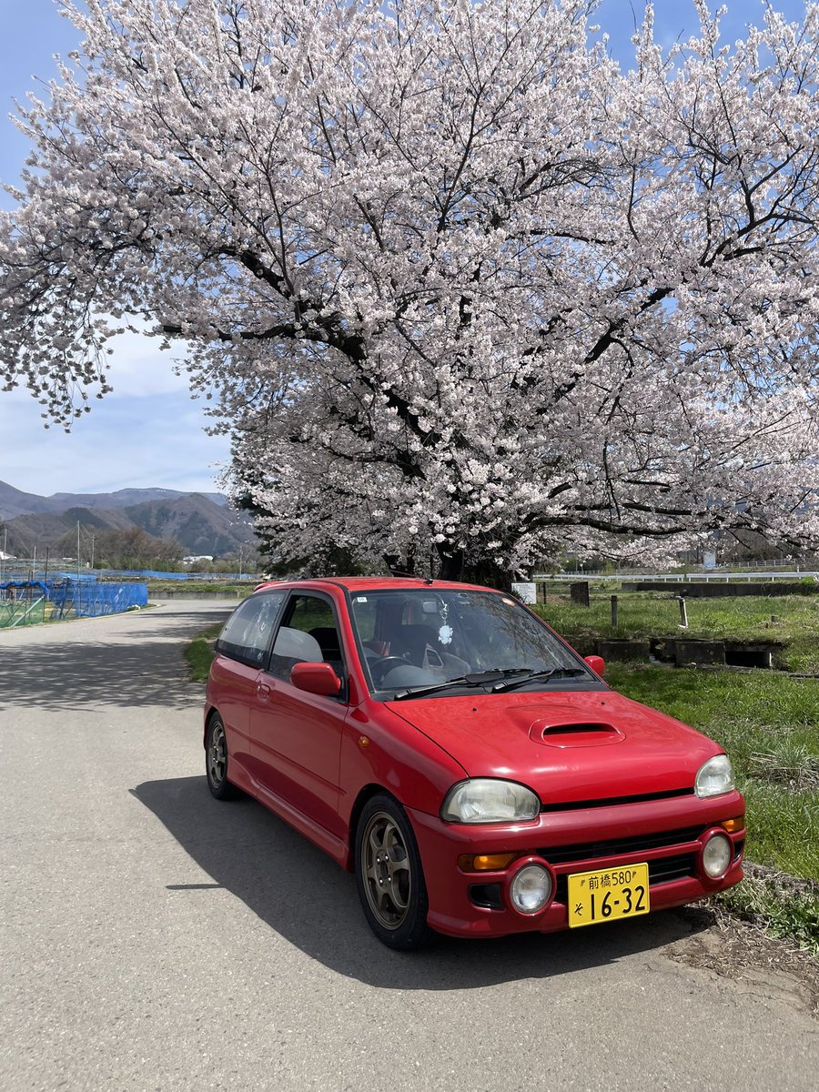 ヌヨヨヨチ tweet media