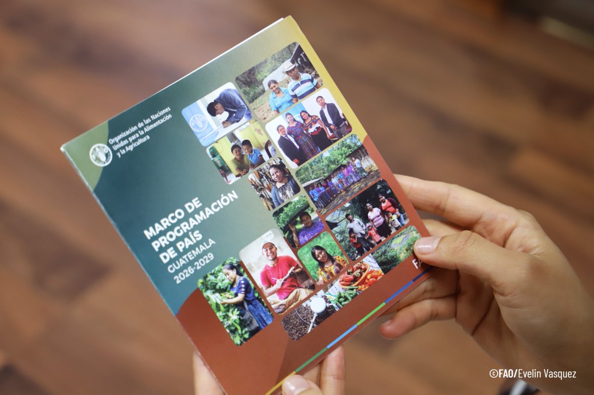 FAOGuatemala's tweet photo. Con la Vicepresidenta @KarinHerreraVP como testigo de honor, la @FAO🇬🇹 y el @GuatemalaGob formalizan el Marco de Programación País 2026–2029, suscrito por @FAOAmericasADG,Rene Orellana Halkyer y Carlos Mendoza de @Segeplan , fortaleciendo la alianza para el desarrollo sostenible. https://t.co/zw5cNMPnLM
