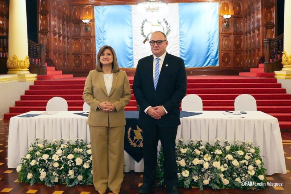 FAOGuatemala's tweet photo. Con la Vicepresidenta @KarinHerreraVP como testigo de honor, la @FAO🇬🇹 y el @GuatemalaGob formalizan el Marco de Programación País 2026–2029, suscrito por @FAOAmericasADG,Rene Orellana Halkyer y Carlos Mendoza de @Segeplan , fortaleciendo la alianza para el desarrollo sostenible. https://t.co/zw5cNMPnLM
