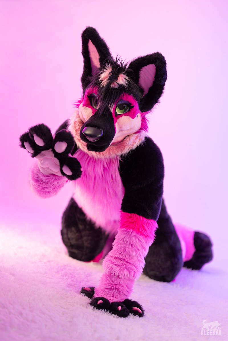 Just two days to bid on this sexy German shepherd fursuit! Details in the  link below! 👇🏽