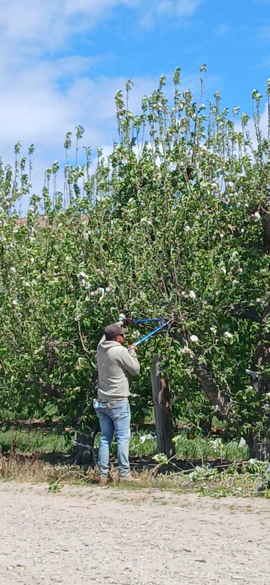 United Farm Workers tweet media