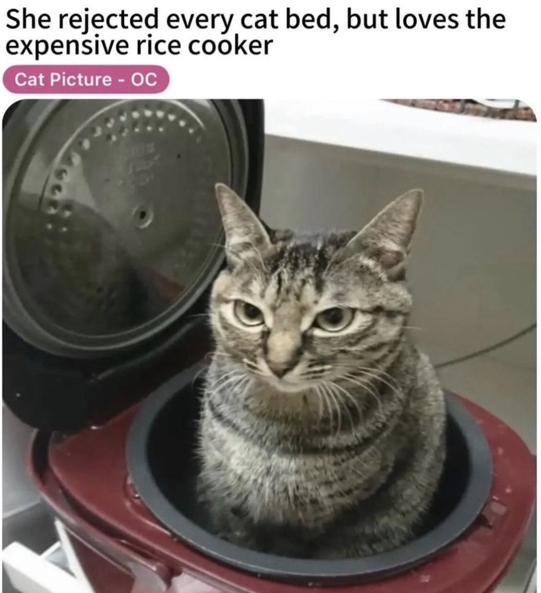 Respectful Memes tweet media