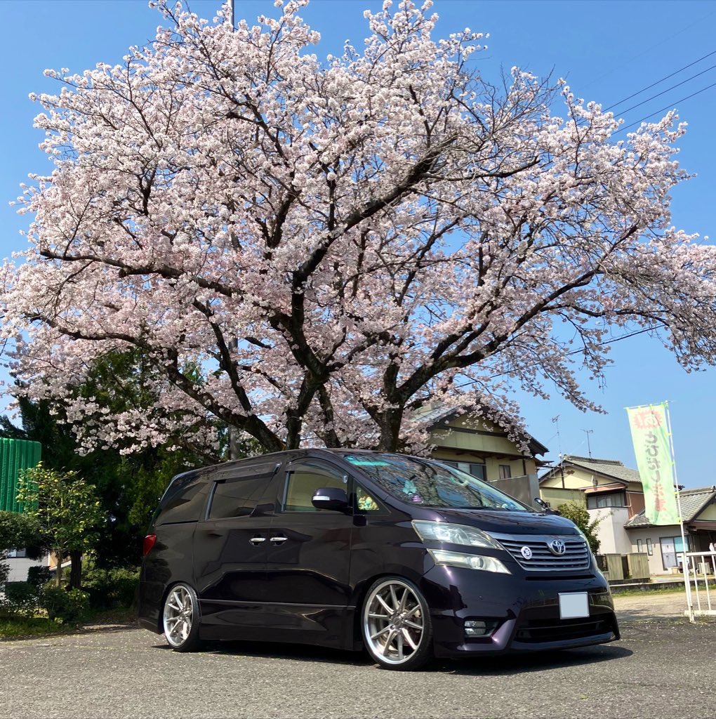 Post by ヤス兄さん on X: 固定