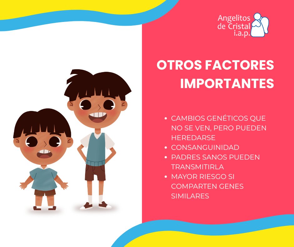 adciap's tweet photo. No todos los casos de osteogénesis imperfecta tienen antecedentes familiares.
A veces, la genética sorprende. Conocer los factores de riesgo ayuda a entender, no a culpar. 🧬💙

#OsteogénesisImperfecta #Conciencia #Salud https://t.co/6HuqWH3nm7