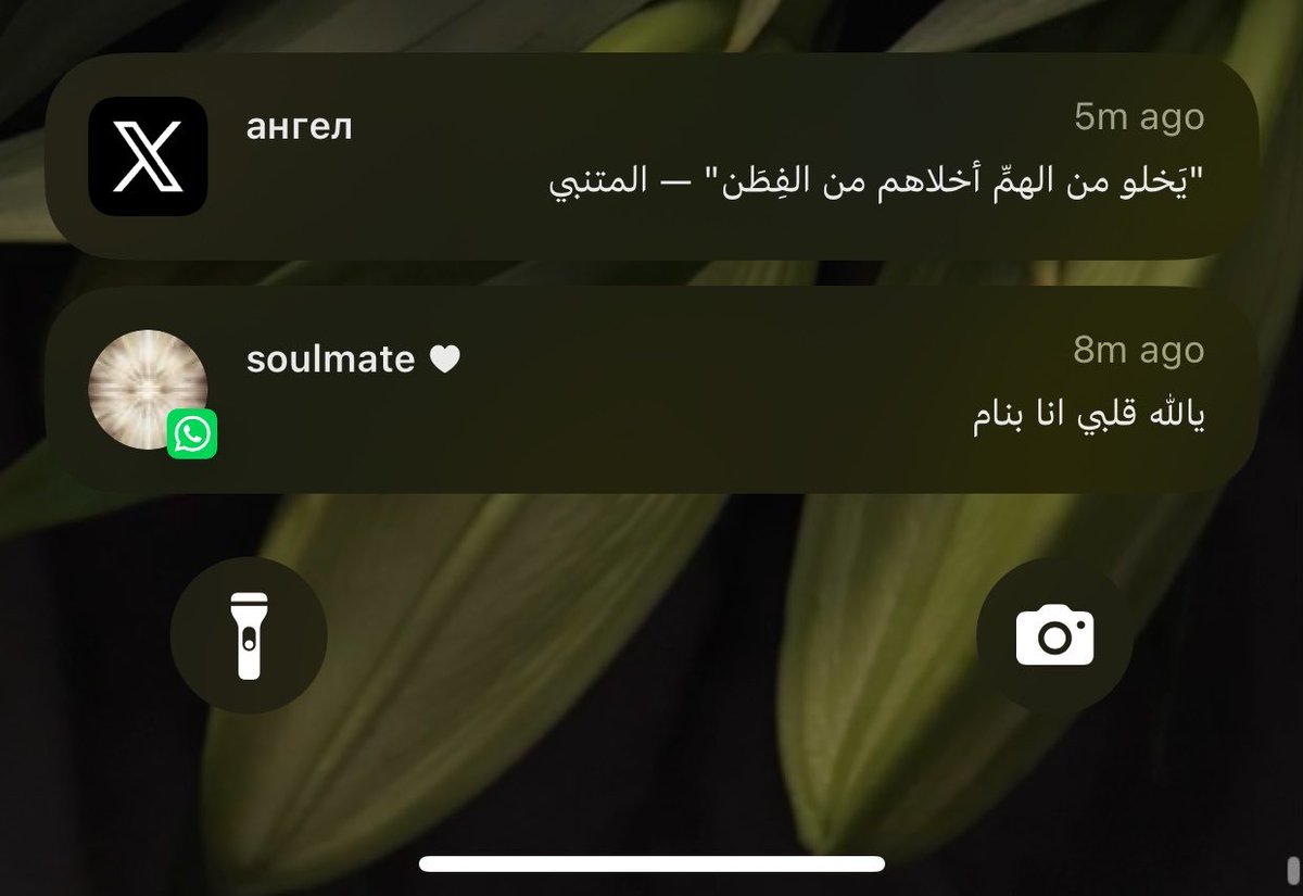 escape tweet media