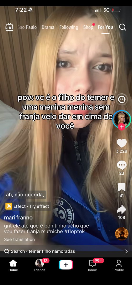 chinchilla tweet media