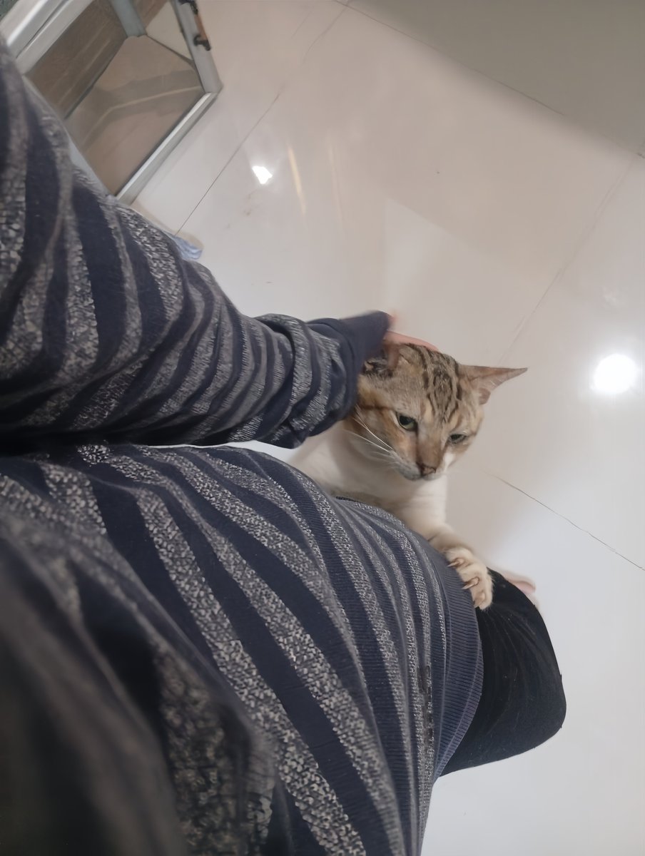 jassie ✧ tweet media
