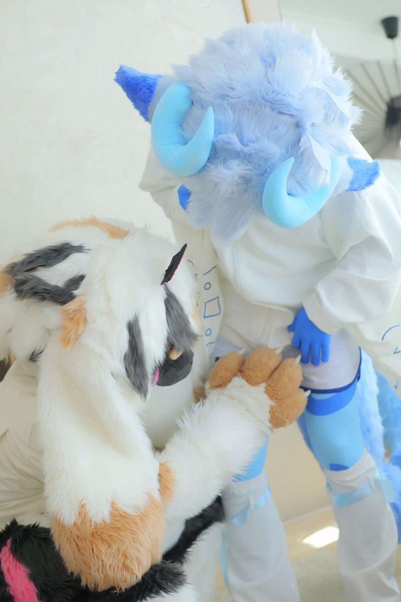 kennes🐰 ➡️ furryjoas tweet media