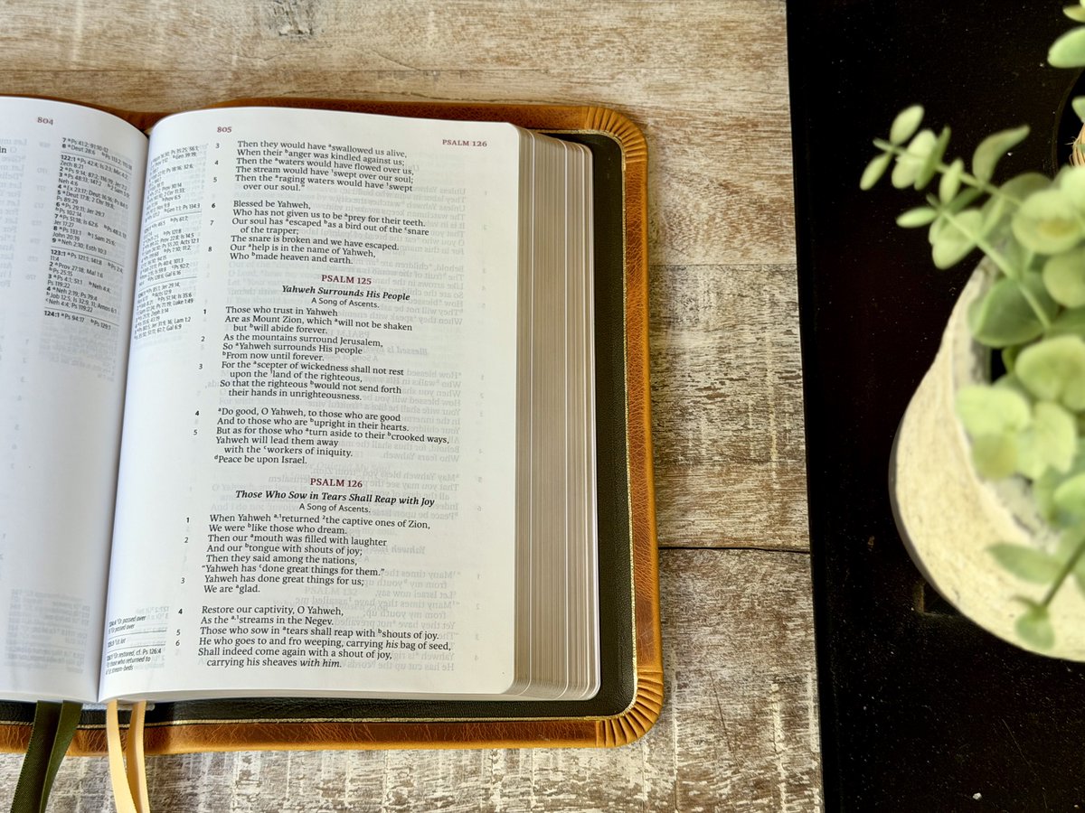 Rock Wall Bibles tweet media