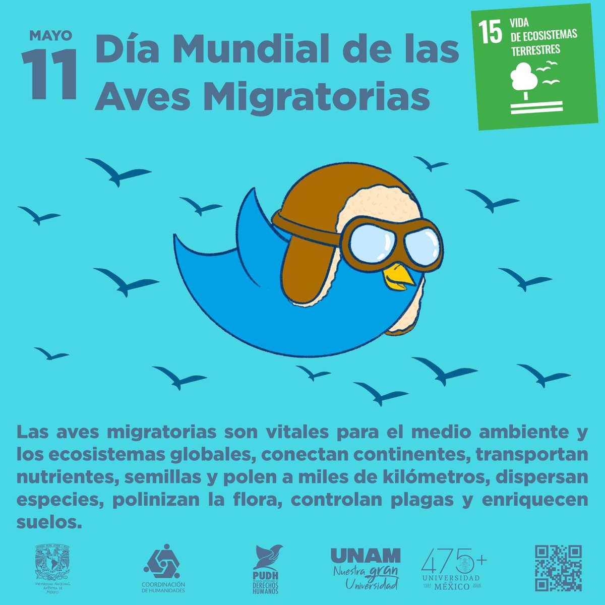 PUDH UNAM tweet media