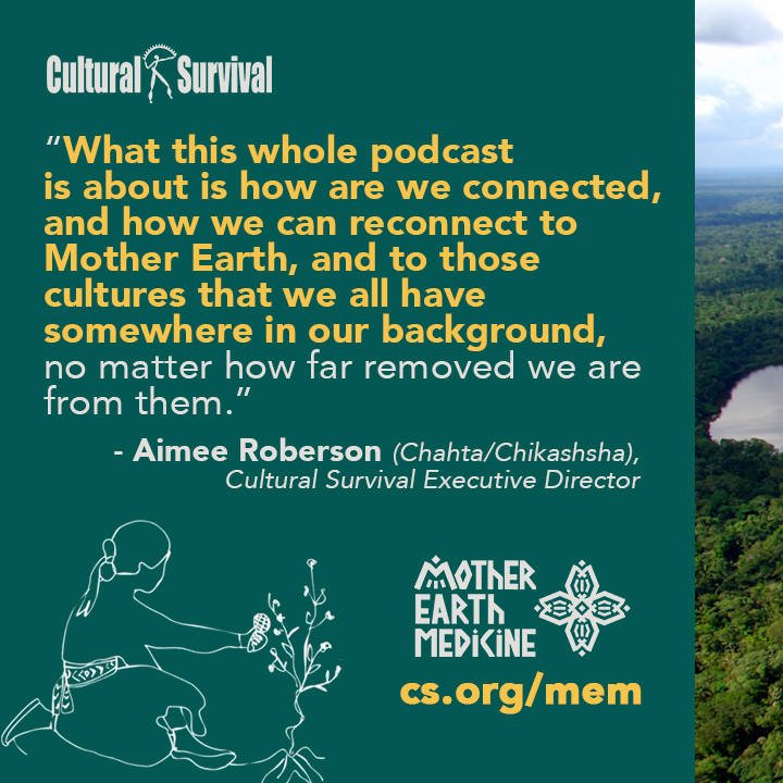 Cultural Survival tweet media