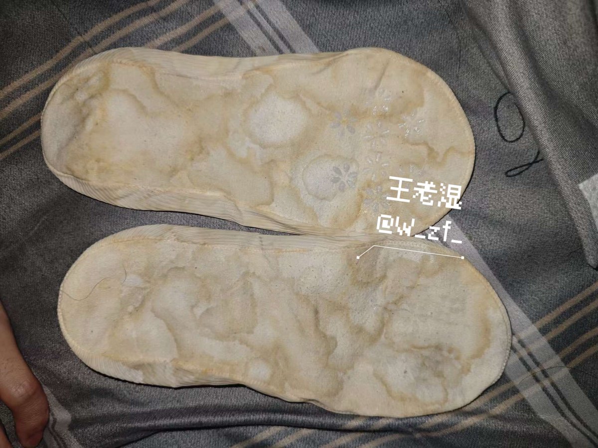 王老湿 tweet media