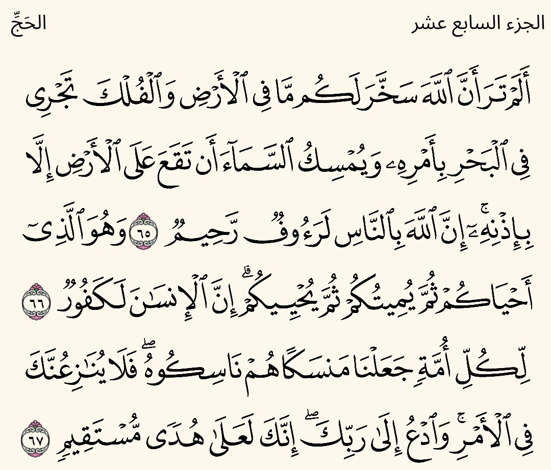 Abdelrahman tweet media