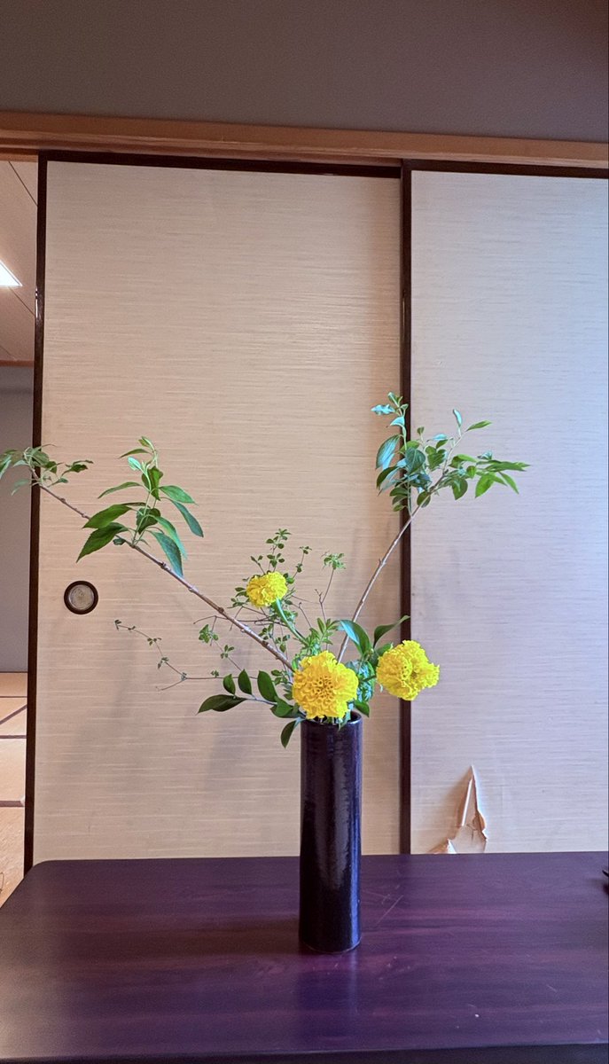 kado87bu's tweet photo. 本日のお稽古は終了しました。

心地よい風に夏の微温を感じる季節になりました。
新緑に映えるマリーゴールドが素敵ですね。

本日は見学の方が来てくれました！
次回のお稽古は6/23（火）です。
飛び入り見学も可能ですのでお気軽にどうぞ。 https://t.co/rJfZeAPkSm