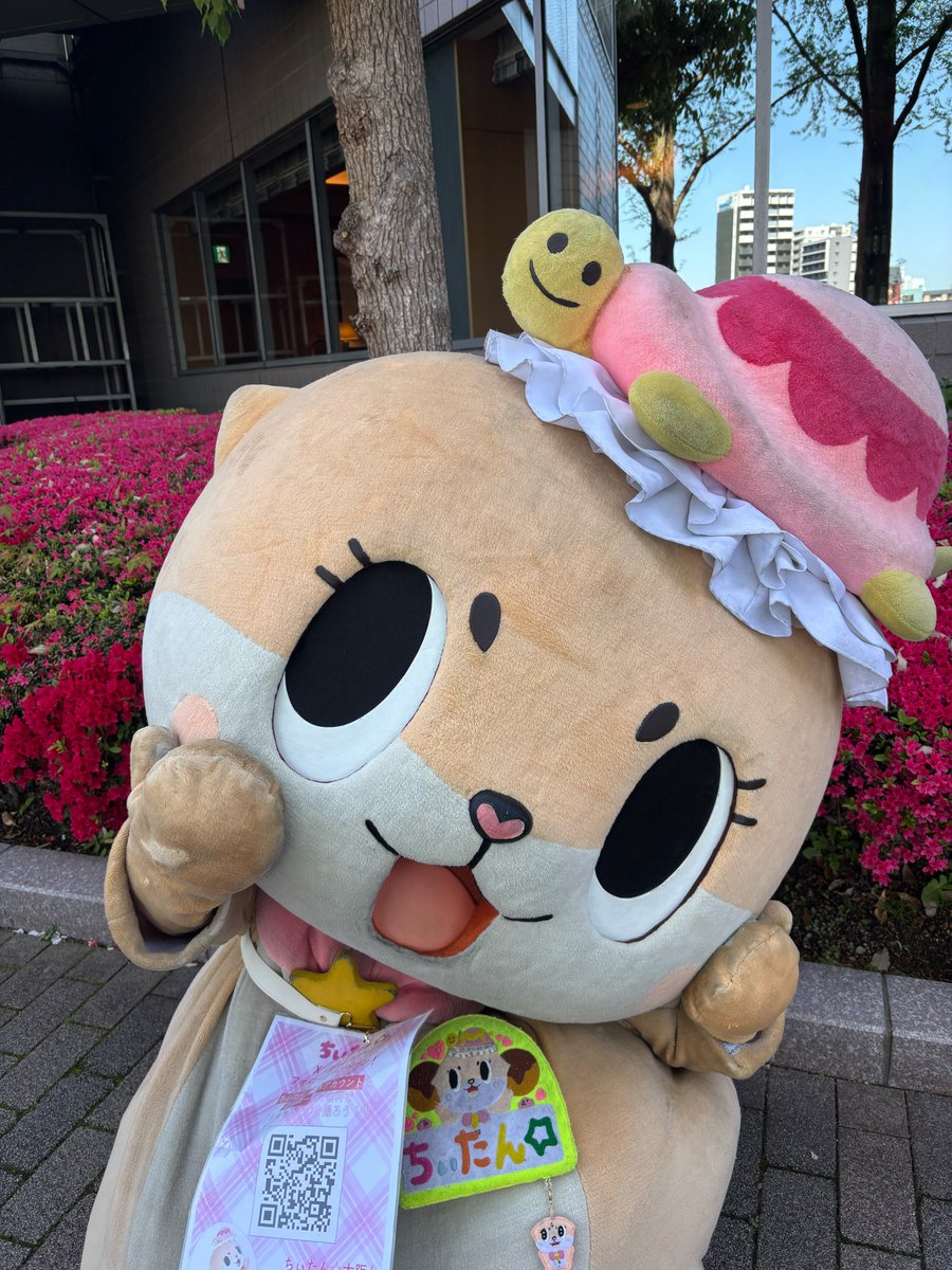 公式：ちぃたん☆大阪 (@Chiitan_Osaka) / Posts / X