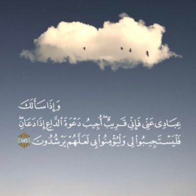 بثينة زكريا مُرشد tweet media