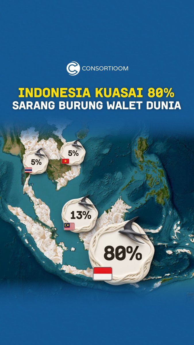 Consortioom's tweet photo. 80% sarang burung walet dunia dari Indonesia, tapi gap 500 ton dengan permintaan global masih terbuka.
Peluangnya nyata. 

Yang kurang:  modal &amp; kapasitas.

Consortioom buka pendanaan untuk bisnismu. DM sekarang. 👇

#StartYourBusiness https://t.co/XStW6UpB8B