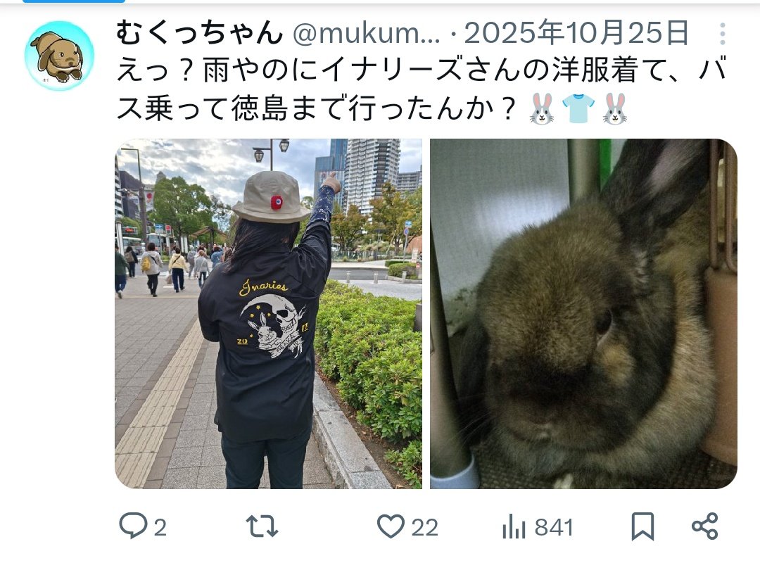 むくっちゃん tweet media