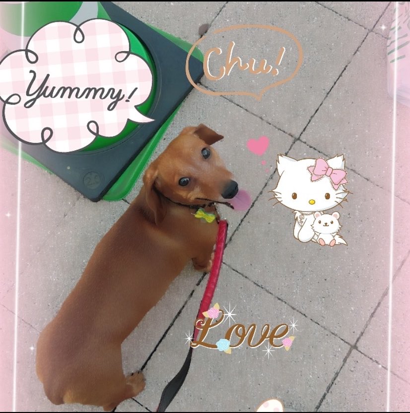 ♥ℛ ༘まな ᕱ⑅ᕱ:.* ♡ tweet media