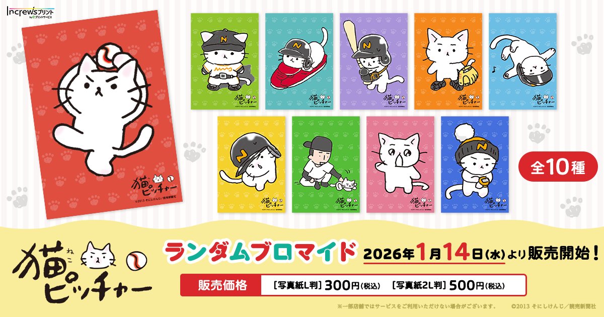 【ほぼ新品！全巻帯付き　猫ピッチャー　全18巻+外伝　計19冊セット】 ほぼ新品！全巻帯付き 猫ピッチャー 全18巻+外伝 計19冊セット