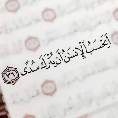 بثينة زكريا مُرشد tweet media