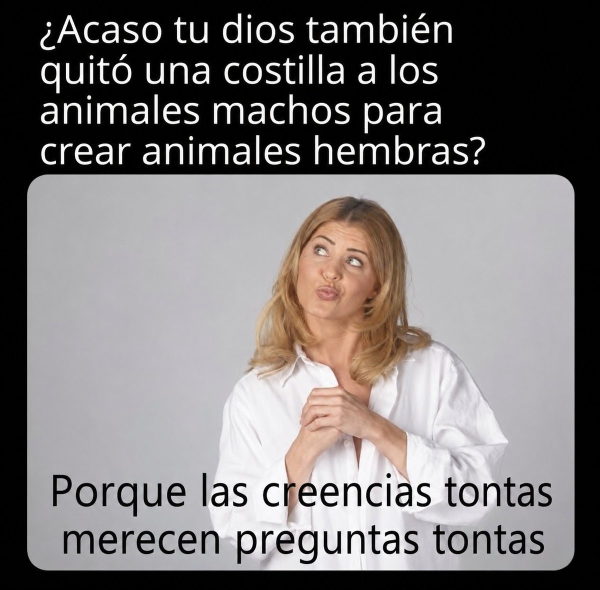 El Profe Rural tweet media