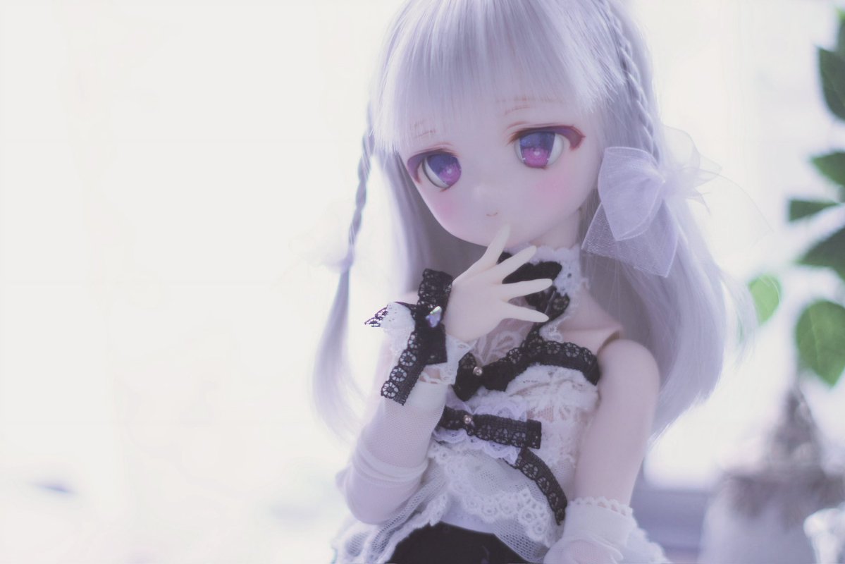 mika【MoE】 tweet media