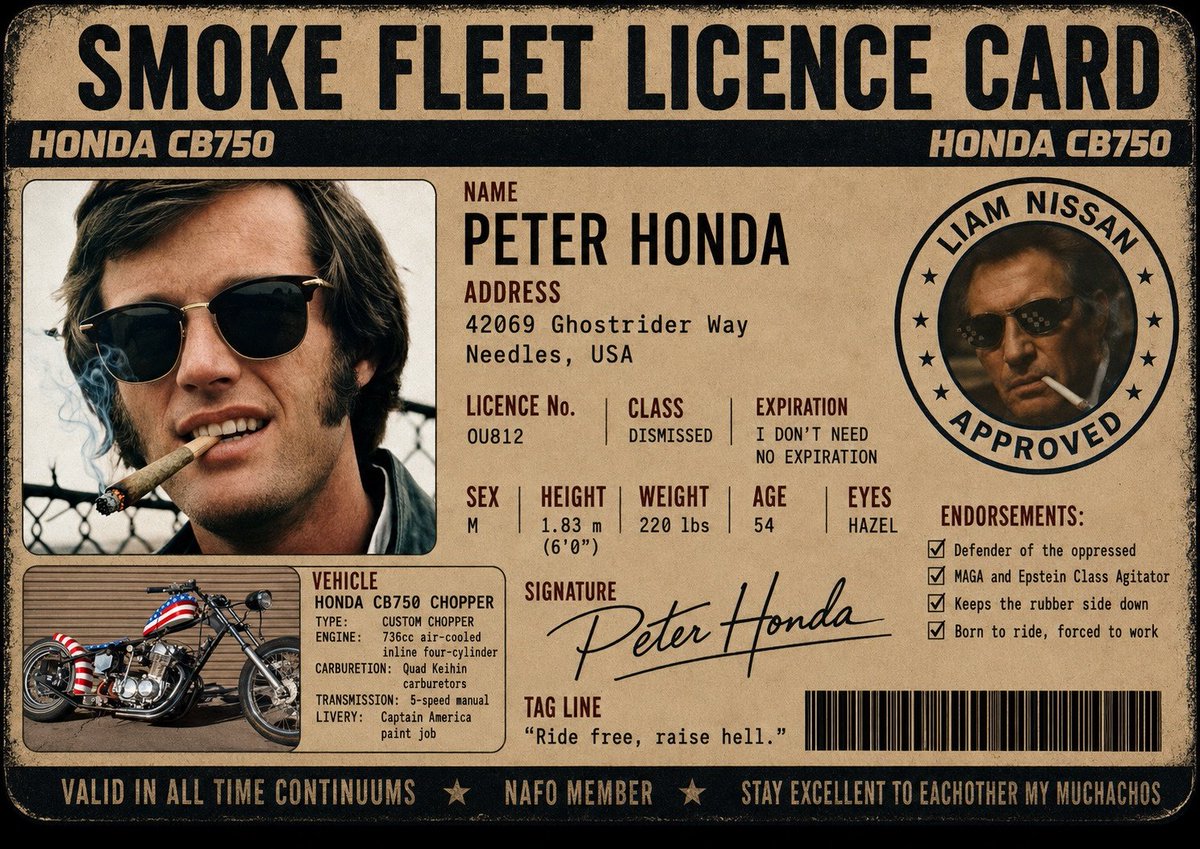 Peter Honda™️ tweet media