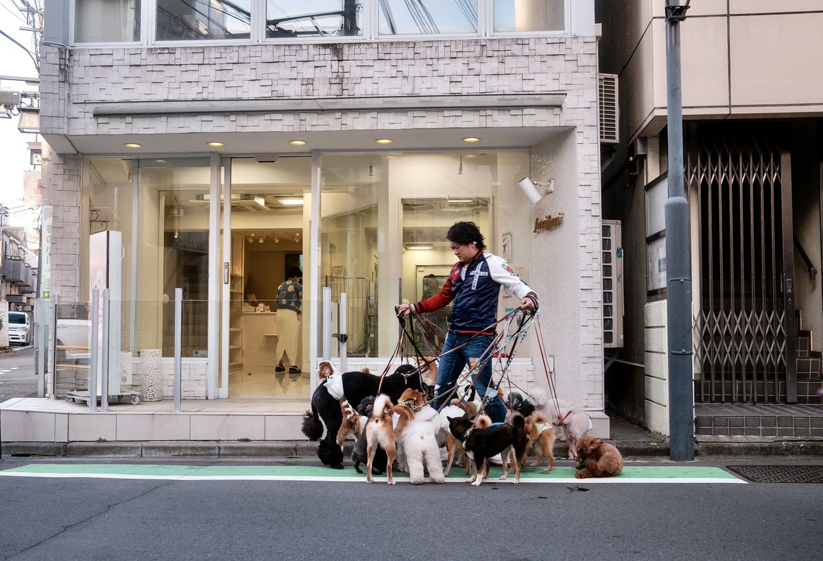 Jexy84's tweet photo. Tokyo dogs. #fujifilm #tokyo #streetphotography https://t.co/tk1fKCP4vC
