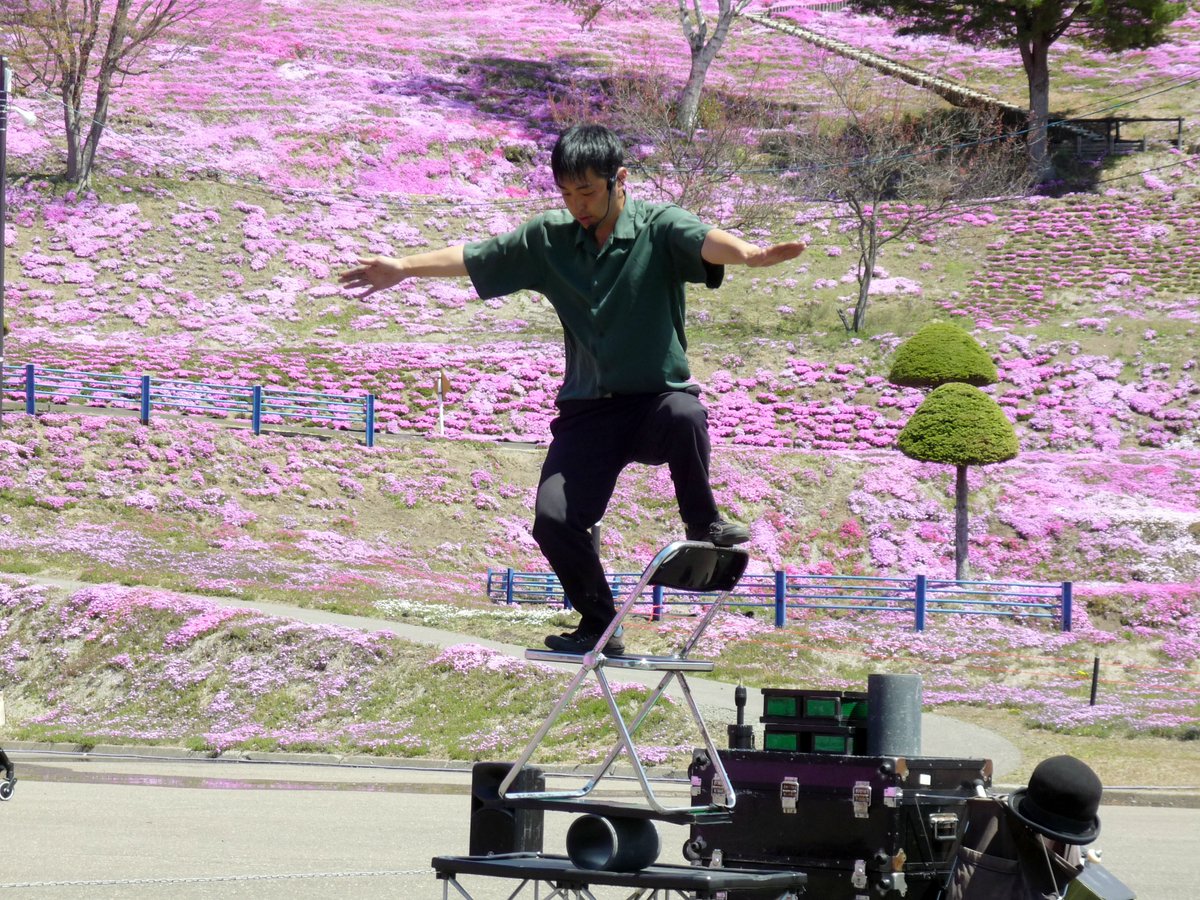 higashimokoto_s's tweet photo. ５月１２日（火）のひがしもこと芝桜公園です🌸今日は最高気温が２５℃を超え快晴🌞の一日です🥰
南向き斜面は九分咲きのままですが、西向き斜面🐮💟が七分咲き、平面四分咲きになりました🌸見頃間近です🌸🥰🌸今日も、ジャグリング「Performer RUI」さんの路上公演が行われています🥰🌸🥰 https://t.co/ROP97pCPU8
