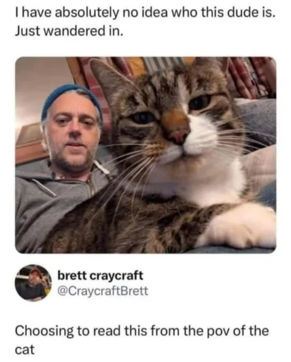Cozy tweet media