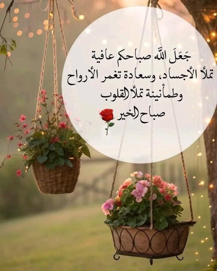 ألـمـا Almaa 🥀🦋 tweet media
