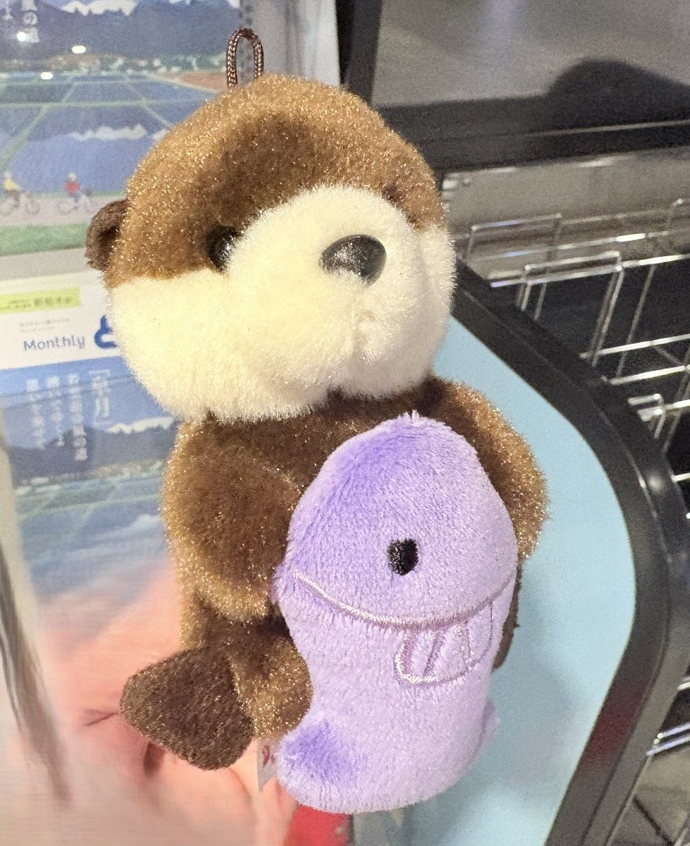 tomo_cheb's tweet photo. 昨日（11日）の夕方この子を渋谷駅半蔵門線のホームで落とした方います？
改札の駅員さんに預けておきました。
駅員さんが���ても大事そうに受け取ってくれてましたよ。
#落とし物
#渋谷駅
#ぬいぐるみ https://t.co/C2Gs1OHqoF