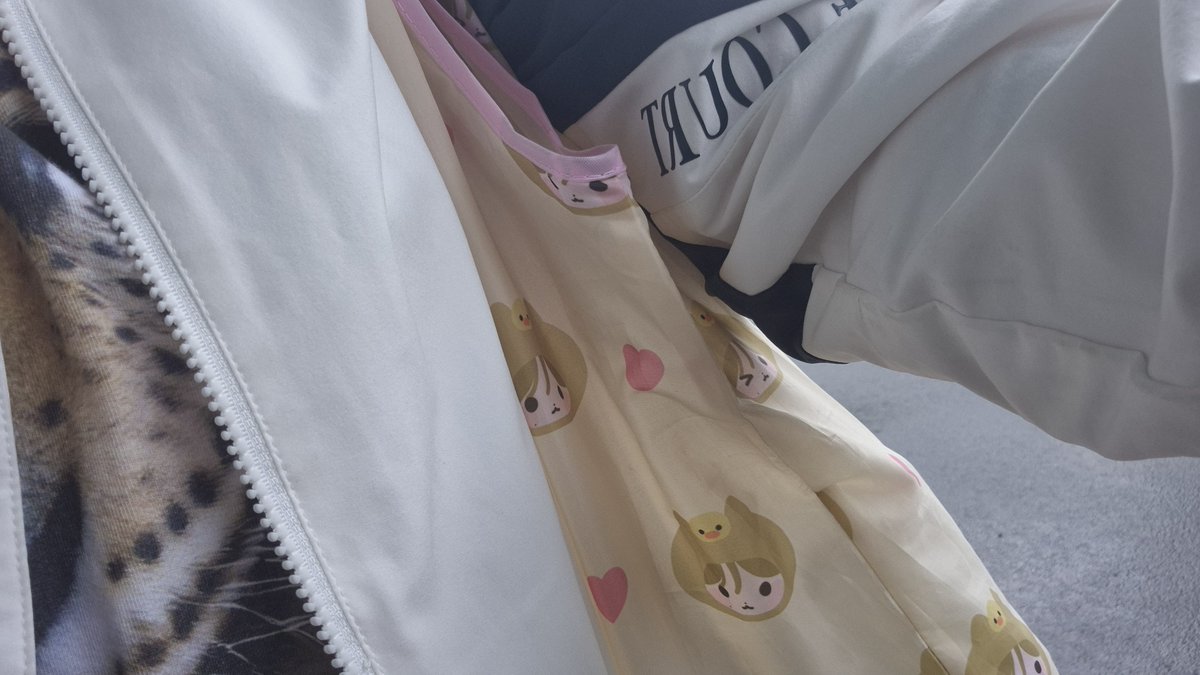 폽폽이 tweet media