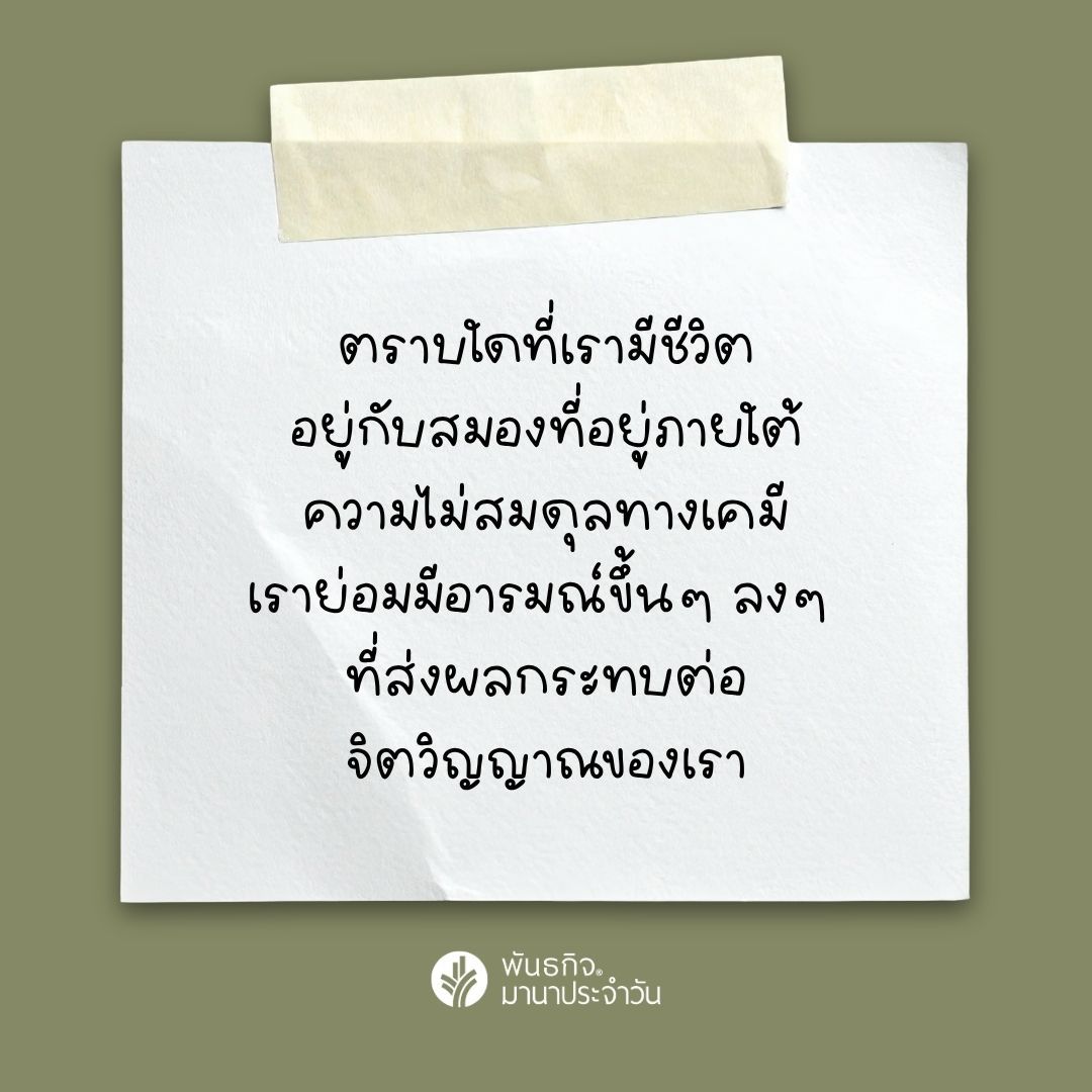 มานาประจำวัน tweet media