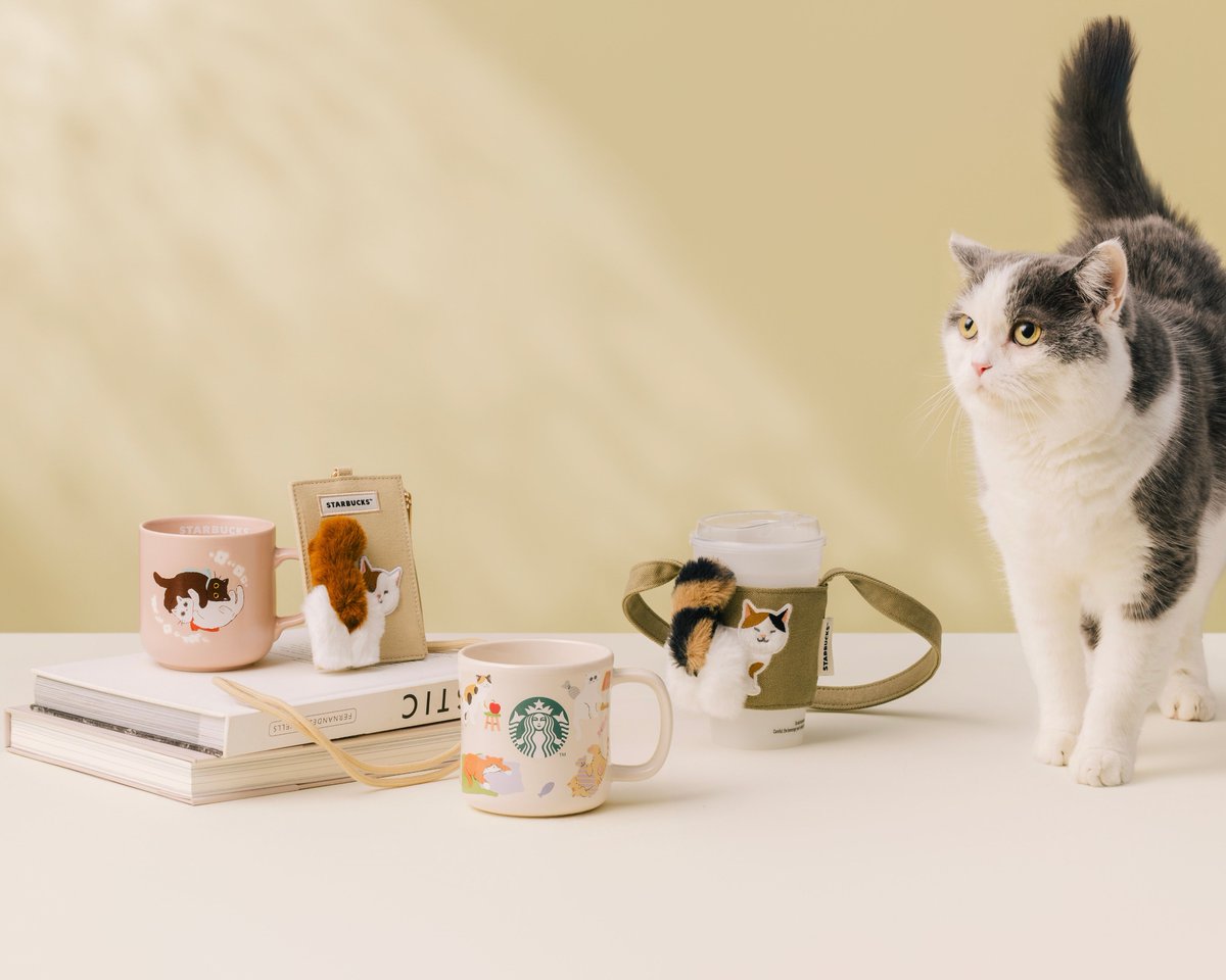 台湾スタバ】 🐱にゃんと可愛い！猫テーマの新作グッズが登場