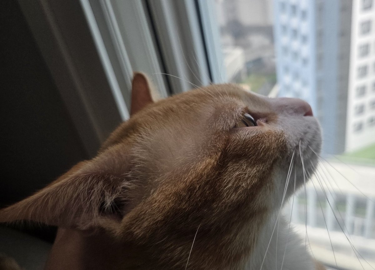 4m__man's tweet photo. 입.뽀. https://t.co/qhaOfY1zT5