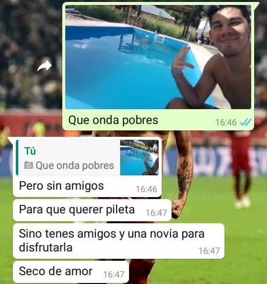 Alejo tweet media