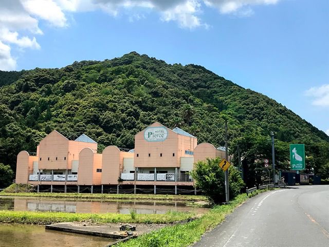 ひな 高知 tweet media