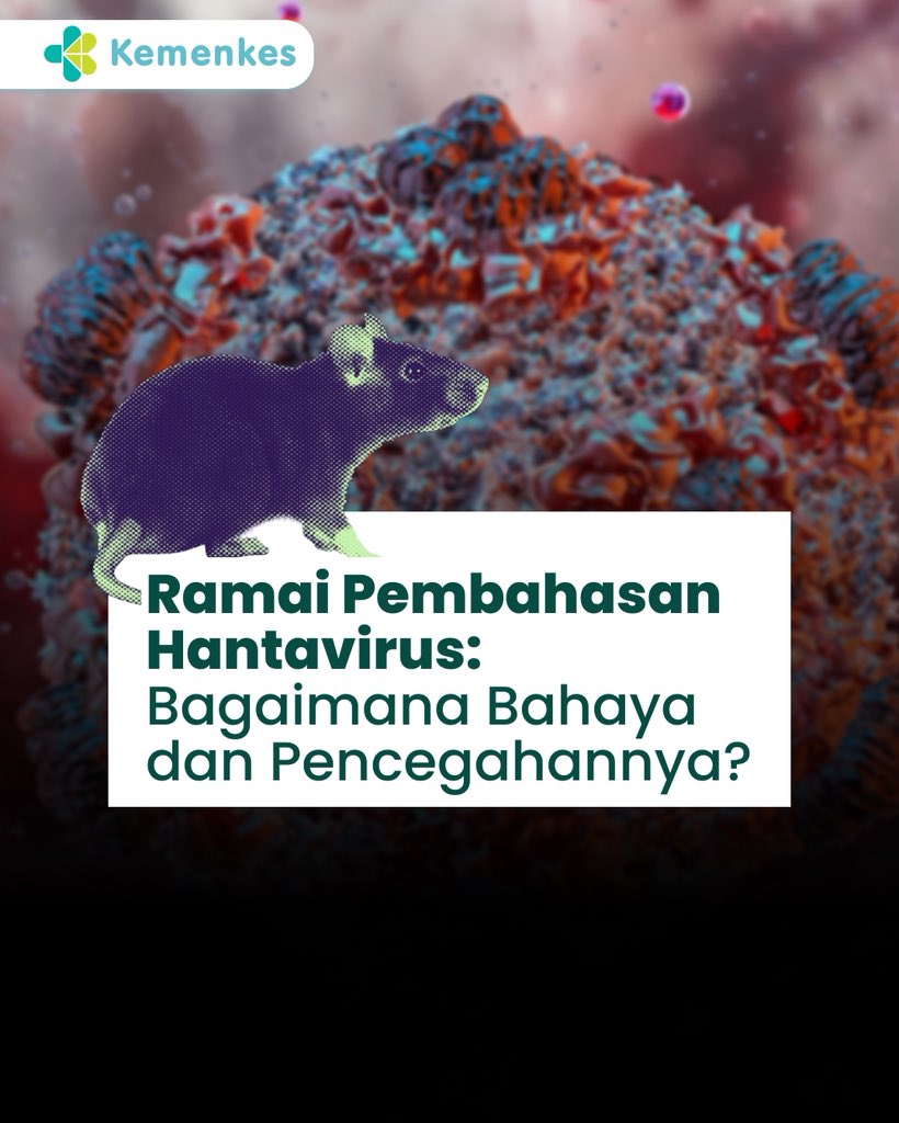 KemenkesRI's tweet photo. #Healthies, kasus Hantavirus tipe HPS yang menyerang paru jadi sorotan setelah muncul laporan kematian di kapal pesiar mancanegara. Meski WHO menilai risiko penyebaran globalnya masih rendah, kewaspadaan tetap penting dilakukan. 

Yuk simak update terbaru serta langkah pencegahannya di thread ini ⬇️⬇️