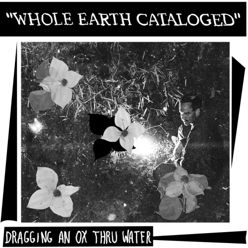 DRAGGING AN OX THROUGH WATER / WHOLE EARTH CATALOGUED (LP) 「感電