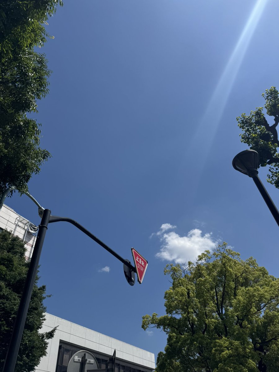 St_Puzzzle's tweet photo. お外は気持ちいい。 https://t.co/Wf4BQApx7M