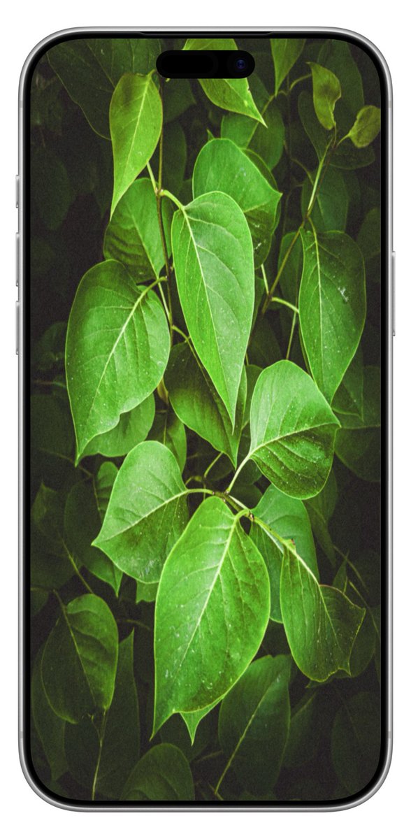 LineaandForma's tweet photo. Three wallpapers for your phone inspired by natural details, greenery, and the quiet atmosphere of the place.
A simple series that brings calm, depth, and a piece of living nature to your phone 🌿📱
.
#PhoneWallpaper #NatureAesthetic https://t.co/OL09AfSinn