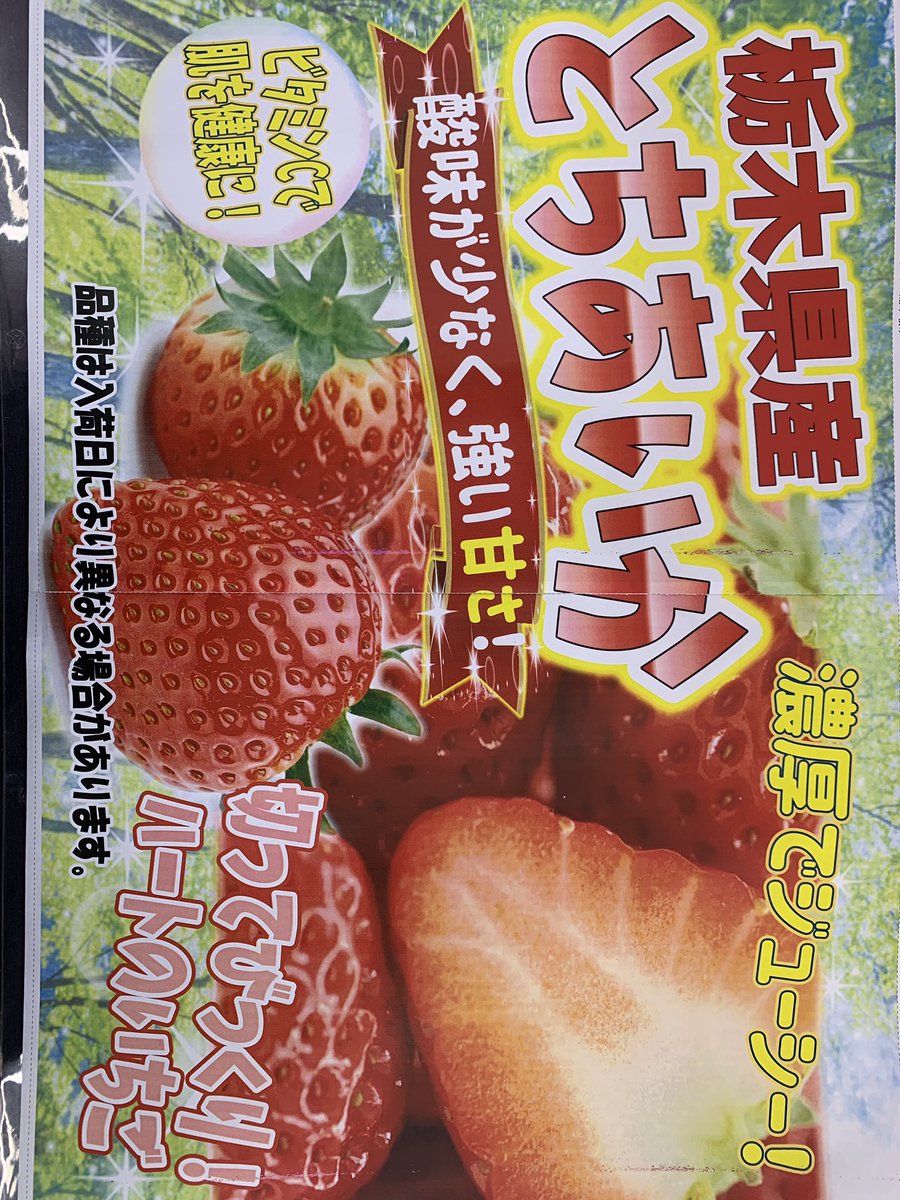 いちご！！ 朝採り 完熟 いちご 【青森県産いちご 立夏JUICY 240g以上×2パック