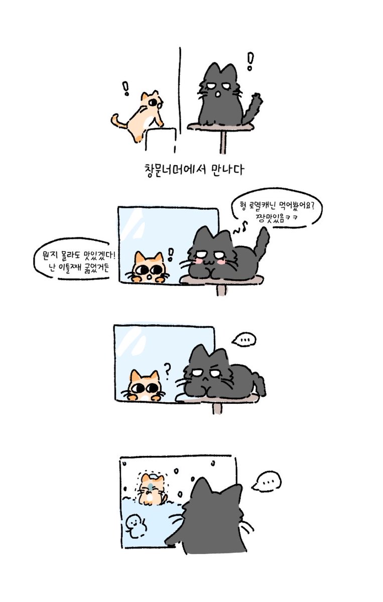 태서 tweet media