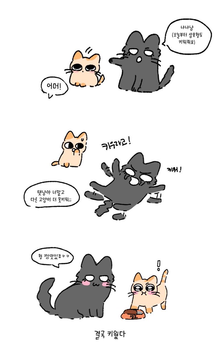 태서 tweet media