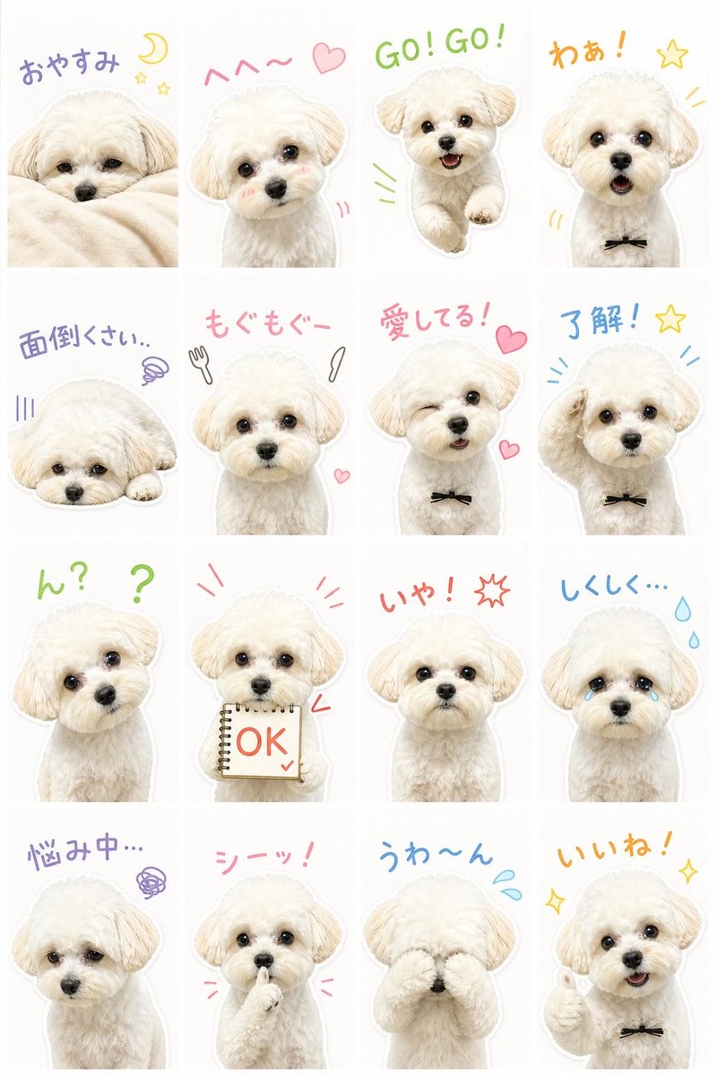 potato_maltipoo's tweet photo. …聞こえますか…聞こえますか…
愛犬と暮らす皆さん…
EPIKでスタンプを作るのです……
可愛すぎて連絡する時乱用してます…
写真1枚で簡単に作れるので絶対にやった方がいいです… #pr https://t.co/EhKGOcogmp